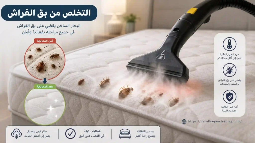 صورة توضيحية لبق الفراش داخل المرتبة مع استخدام البخار للقضاء عليه